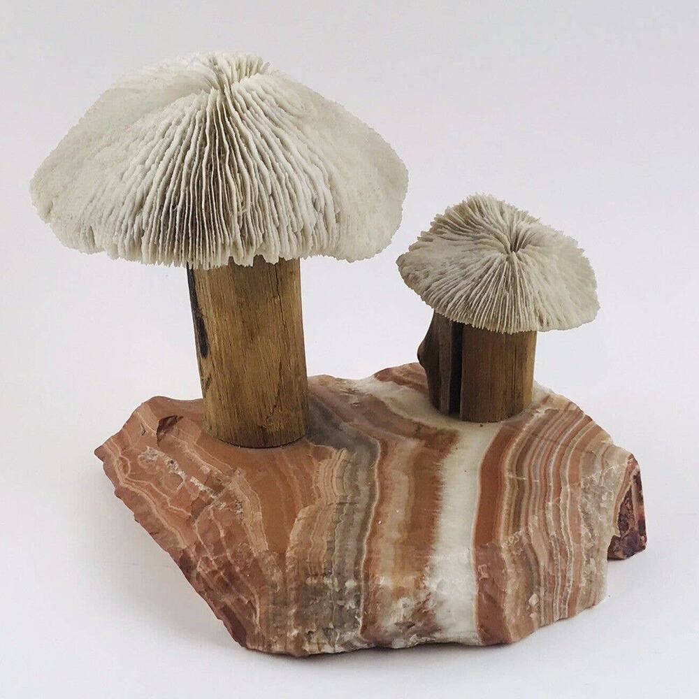 Vintage Banded Stone Marble Two Mushroom White Sculpture Primitive Wood Coral Ar